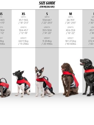 dog_life_jacket_size_guide